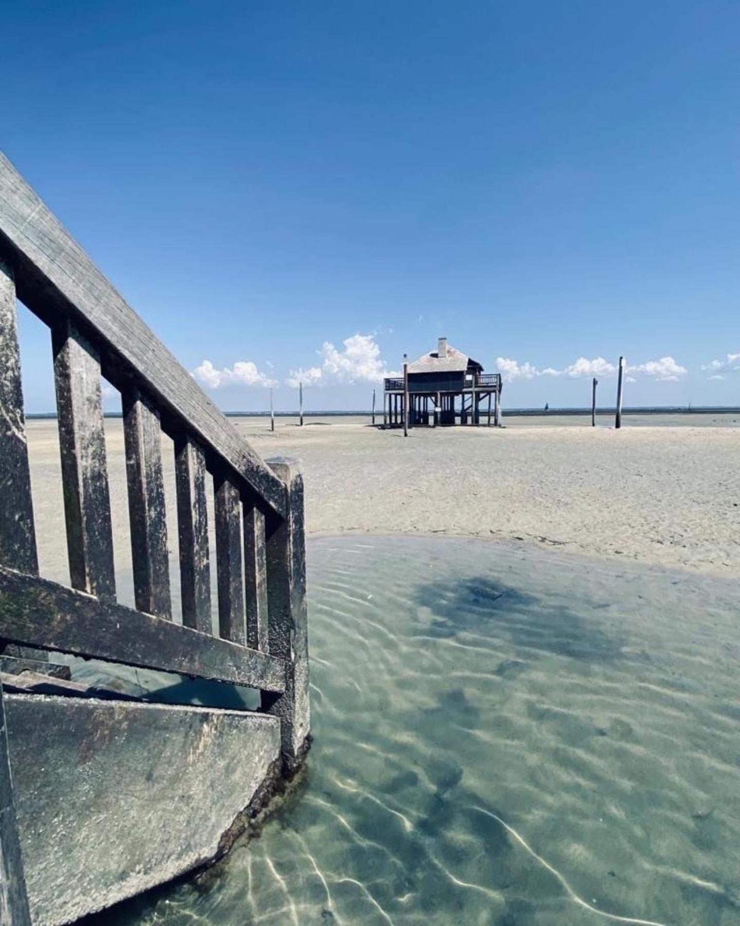 Cocon entre presqu'île du Cap Ferret et plages océanes - terrasse - vélo gratuit Ares Esterno foto