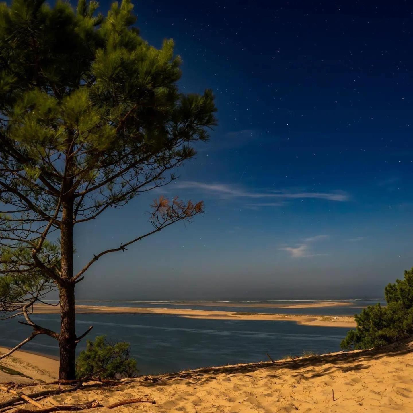 Cocon entre presqu'île du Cap Ferret et plages océanes - terrasse - vélo gratuit Ares Esterno foto