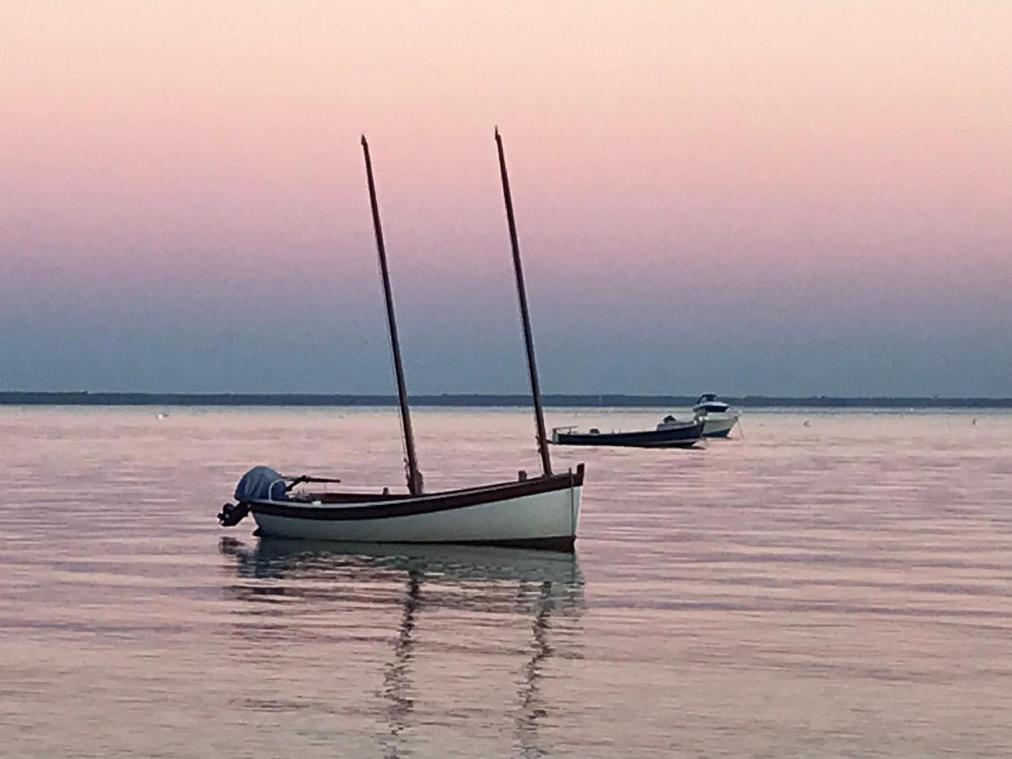 Cocon entre presqu'île du Cap Ferret et plages océanes - terrasse - vélo gratuit Ares Esterno foto