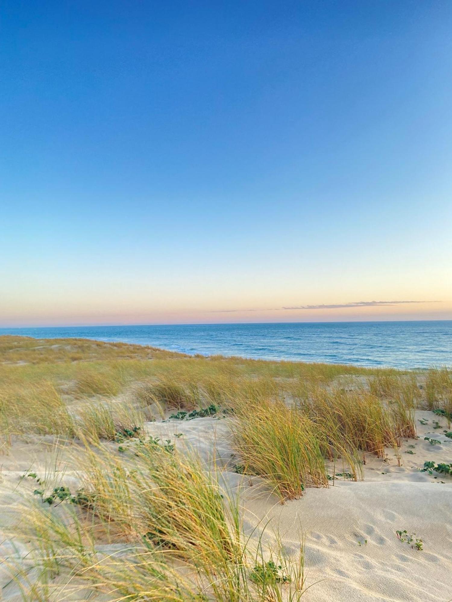 Cocon entre presqu'île du Cap Ferret et plages océanes - terrasse - vélo gratuit Ares Esterno foto
