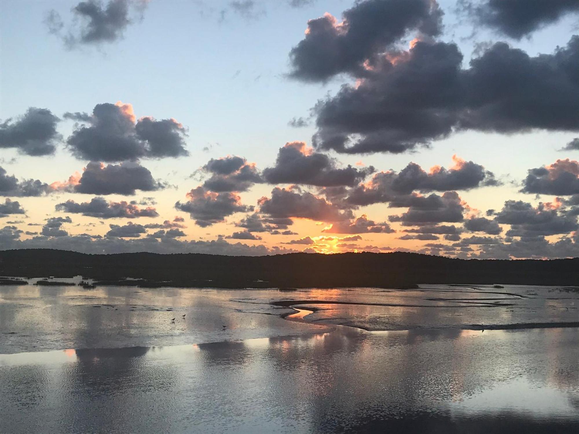 Cocon entre presqu'île du Cap Ferret et plages océanes - terrasse - vélo gratuit Ares Esterno foto