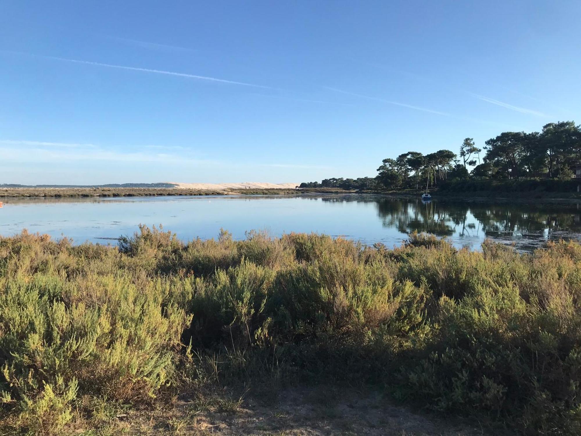 Cocon entre presqu'île du Cap Ferret et plages océanes - terrasse - vélo gratuit Ares Esterno foto