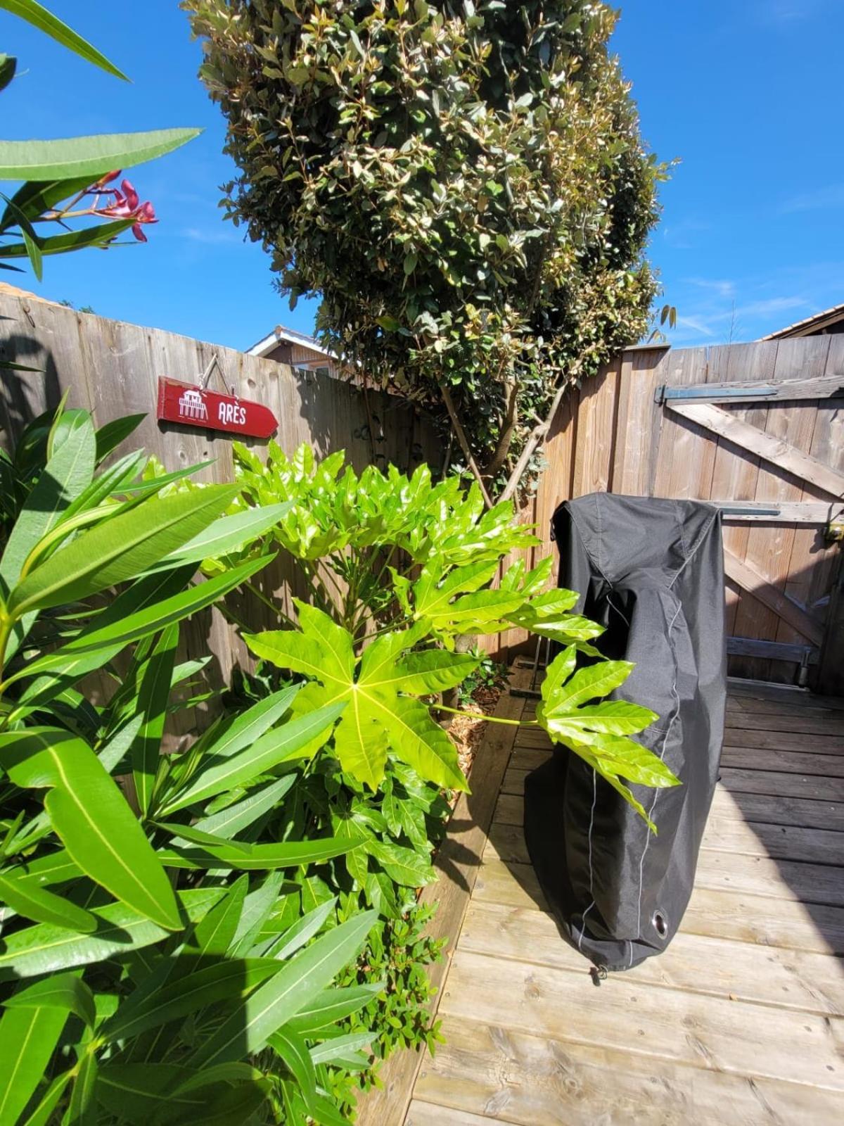 Cocon entre presqu'île du Cap Ferret et plages océanes - terrasse - vélo gratuit Ares Esterno foto